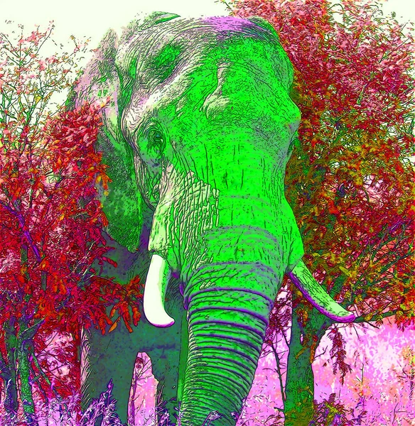 Icona Elefante Pop Art Con Macchie Colore — Foto Stock