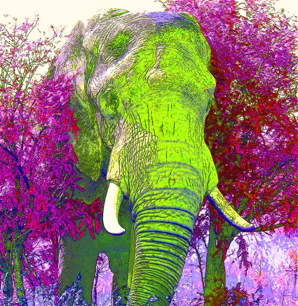 Icona Elefante Pop Art Con Macchie Colore — Foto Stock