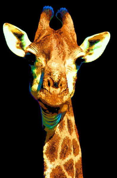 Giraffe Zeichen Illustration Pop Art Hintergrund Symbol Mit Farbflecken — Stockfoto