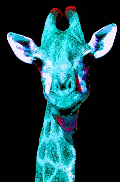 Giraffe Sign Illustration Pop Art Background Icon Color Spots — Stock Photo, Image