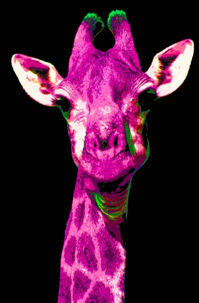Girafa Sinal Ilustração Pop Art Ícone Fundo Com Manchas Cor — Fotografia de Stock