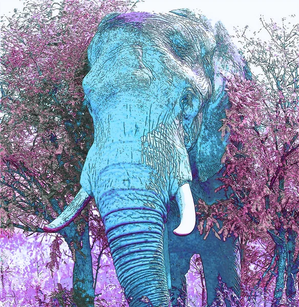 Ícone Elefante Arte Pop Com Manchas Cor — Fotografia de Stock