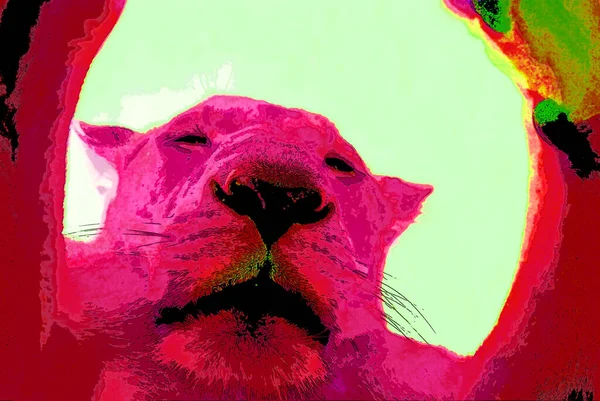 Lejonskylt Illustration Pop Art Bakgrund Ikon Med Färgfläckar — Stockfoto