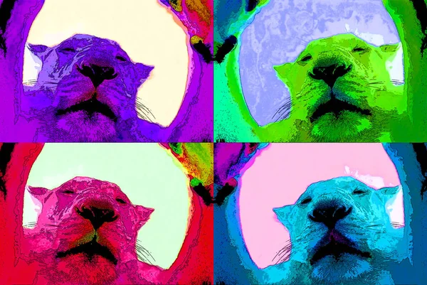 Aslan Işareti Illüstrasyon Renk Lekeli Pop Art Arkaplan Simgesi — Stok fotoğraf