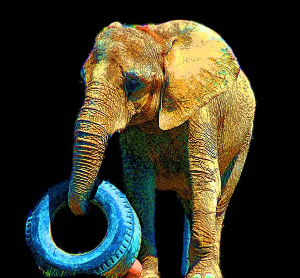 Pop Art Icône Éléphant Avec Des Taches Couleur — Photo