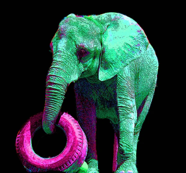 Pop Art Elefantensymbol Mit Farbflecken — Stockfoto