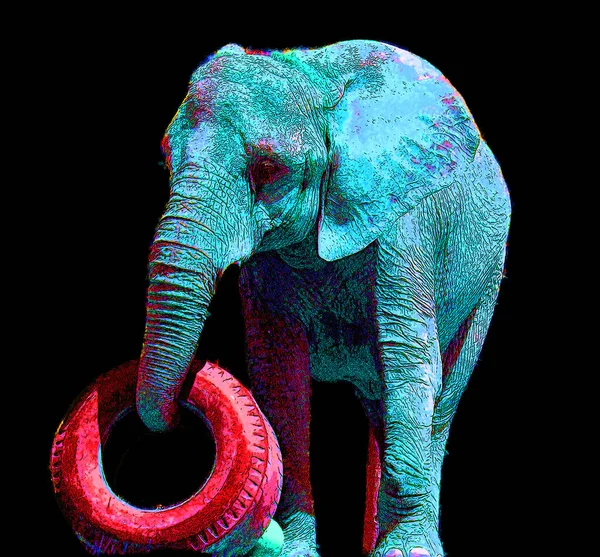 코끼리 아이콘 — 스톡 사진