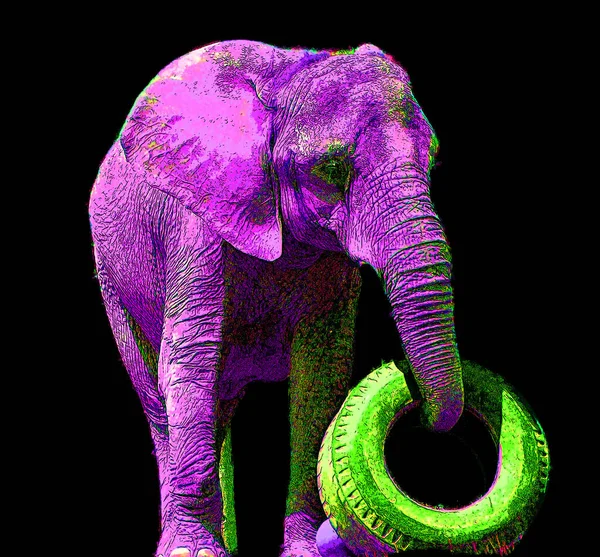 ポップアート象のアイコンとカラースポット — ストック写真