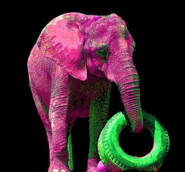 Pop Art Icône Éléphant Avec Des Taches Couleur — Photo