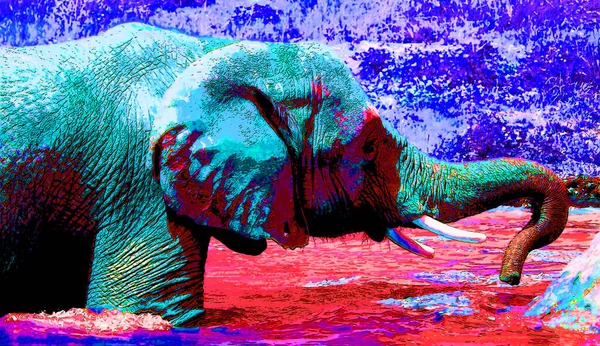 Icona Elefante Pop Art Con Macchie Colore — Foto Stock