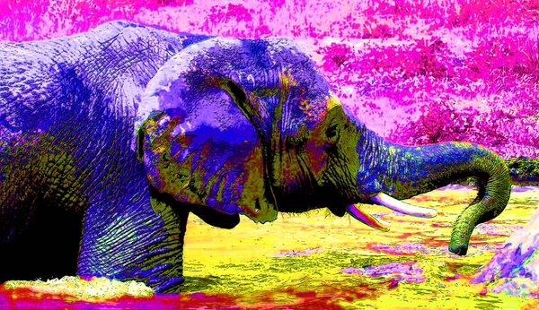 Ícone Elefante Arte Pop Com Manchas Cor — Fotografia de Stock