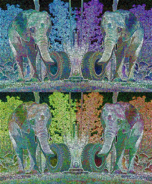 Pop Art Icône Éléphant Avec Des Taches Couleur — Photo