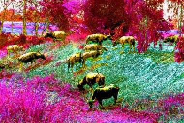 Tayland kırsalındaki su bufalolarında veya Asyalı yerli Asya su bufalolarında siyah beyaz benekli pop-art arka plan ikonu işareti