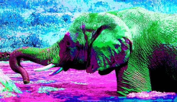 Icono Elefante Arte Pop Con Manchas Color —  Fotos de Stock