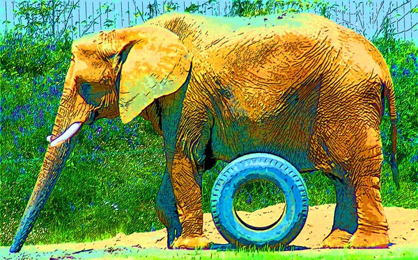 Ícone Elefante Arte Pop Com Manchas Cor — Fotografia de Stock