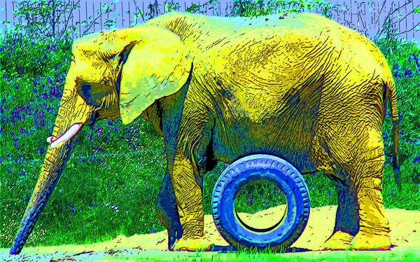 Icono Elefante Arte Pop Con Manchas Color — Foto de Stock
