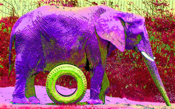 Icono Elefante Arte Pop Con Manchas Color — Foto de Stock