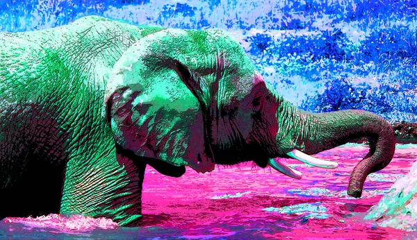 Ícone Elefante Arte Pop Com Manchas Cor — Fotografia de Stock