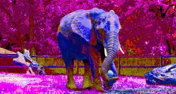 Ícone Elefante Arte Pop Com Manchas Cor — Fotografia de Stock