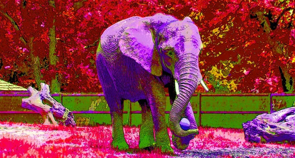 带有色斑的流行艺术大象图标 — 图库照片