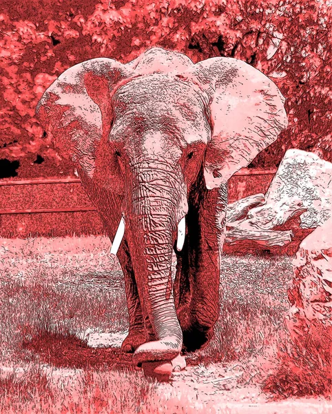 Ícone Elefante Arte Pop Com Manchas Cor — Fotografia de Stock