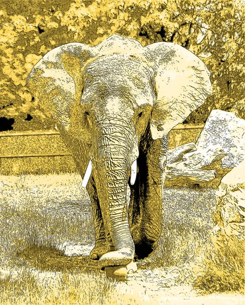 Pictograma Elefantului Pop Art Pete Culoare — Fotografie, imagine de stoc
