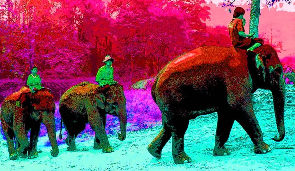 Northren Thailand 1999 Asian Elephant Welfare Educational Visitor Experience Pop — Φωτογραφία Αρχείου