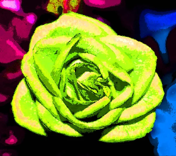 Beautiful Rose Illustration Pop Art Background — стоковое фото