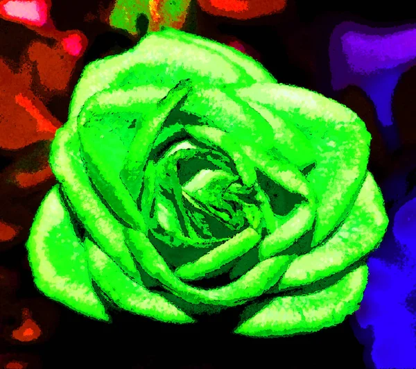 Beautiful Rose Illustration Pop Art Background — стоковое фото