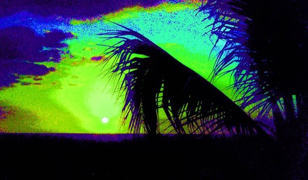 Sunset View Palm Trees Illustration Pop Art Background Icon Color — Fotografia de Stock