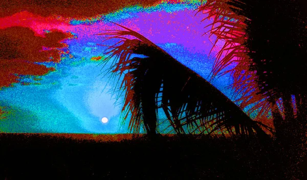 Sunset View Palm Trees Illustration Pop Art Background Icon Color — Fotografia de Stock