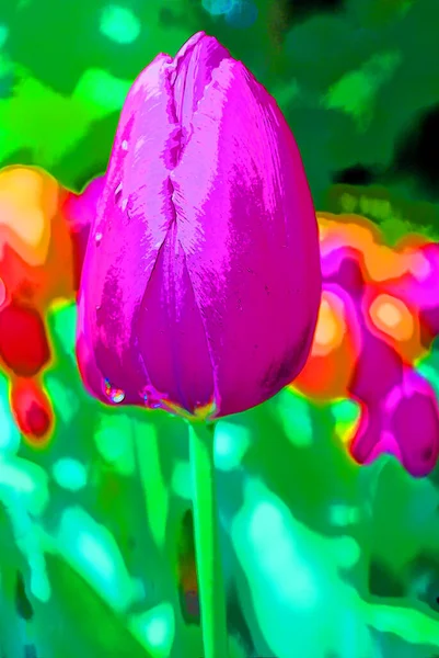 Tulips is a perennial, bulbous plant with showy flowers in the genus Tulipa, of which up to 109 species glossy glass sign illustration pop-art background icon with color spots
