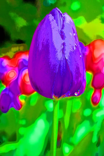 Beautiful Tulips Garden Pop Art Illustration Color Spots — Zdjęcie stockowe