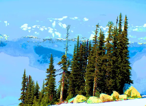 Foggy Forest Whistler Mountain Fitzsimmons Range Pacific Ranges Coast Mountains — стокове фото