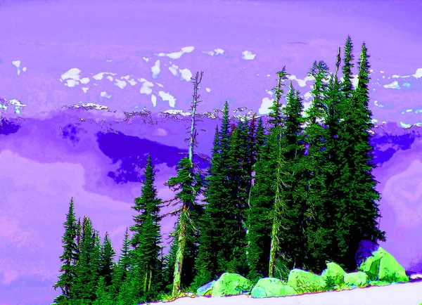 Foggy Forest Whistler Mountain Fitzsimmons Range Pacific Ranges Coast Mountains — Stockfoto