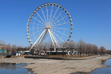 MONTREAL CANADA 04 06 22: La Grande Roue de Montreal the tallest Ferris wheel in Canada allows you to see the city and its surroundings from 60 metres in the air, the equivalent of 20-storey building