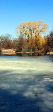 Sonbaharın sonları, Bromont 'ta kış başları Quebec, Kanada