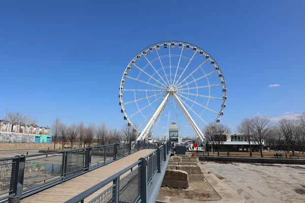 Montreal Canada Grande Roue Montreal Tallest Ferris Wheel Canada Allows —  Fotos de Stock