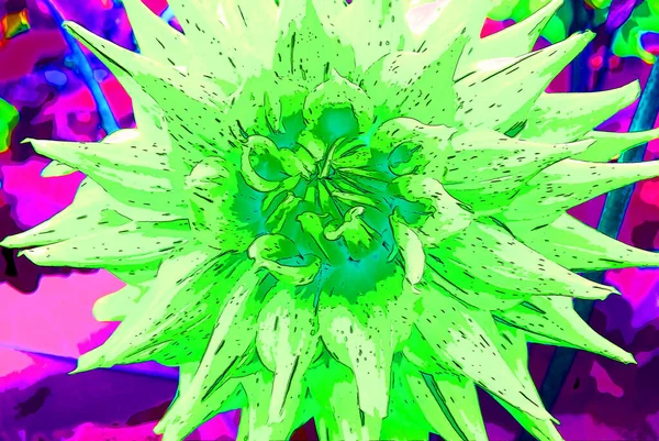 Dahlia Flower Sign Illustration Pop Art Background Icon Color Spots — Zdjęcie stockowe