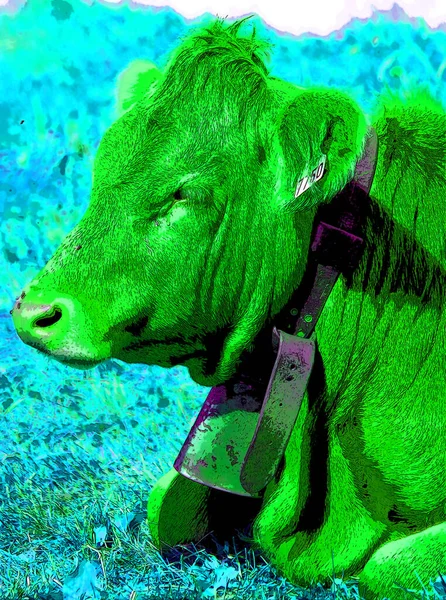 Viehzeichen Illustration Pop Art Hintergrund Symbol Mit Farbflecken — Stockfoto