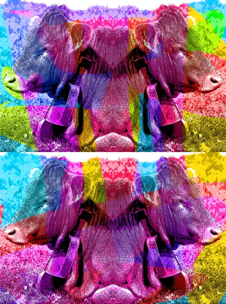 Ilustracja Znaku Bydła Pop Art Tle Ikona Plamami Koloru — Zdjęcie stockowe