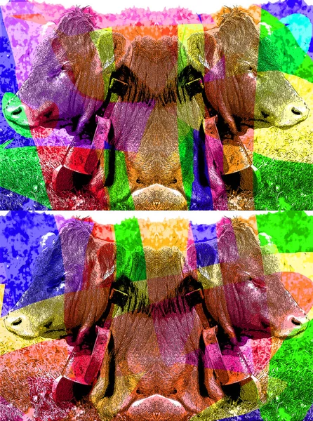 Ilustracja Znaku Bydła Pop Art Tle Ikona Plamami Koloru — Zdjęcie stockowe
