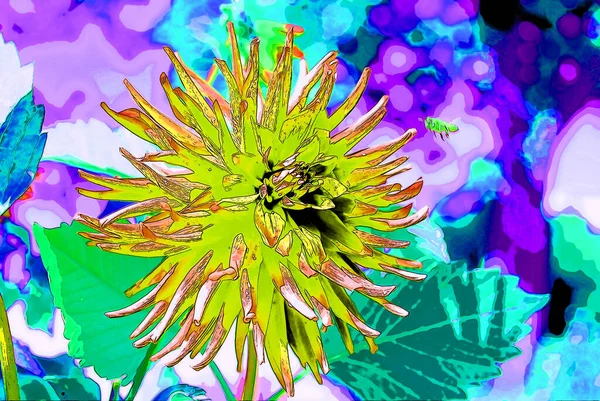 Dahlia Flower Sign Illustration Pop Art Background Icon Color Spots —  Fotos de Stock