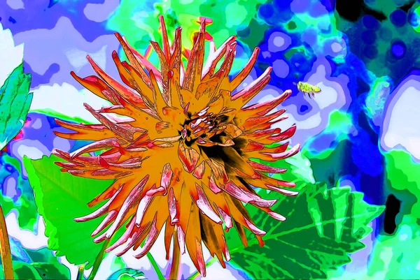Dahlia Flower Sign Illustration Pop Art Background Icon Color Spots —  Fotos de Stock