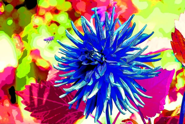 Dahlia Flower Sign Illustration Pop Art Background Icon Color Spots — Stockfoto