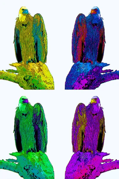 Vulture Scavenging Birds Sign Illustration Pop Art Background Icon Color — Φωτογραφία Αρχείου