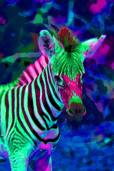 Zebra Jel Illusztráció Pop Art Háttér Ikon Színes Foltok — Stock Fotó