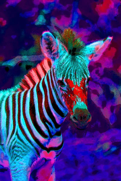 Zebra Sign Illustration Pop Art Background Icon Color Spots — Stock Photo, Image