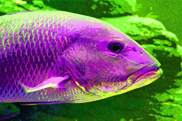 Fish Σημάδι Εικονογράφηση Pop Art Εικονίδιο Φόντου Κηλίδες Χρώματος — Φωτογραφία Αρχείου