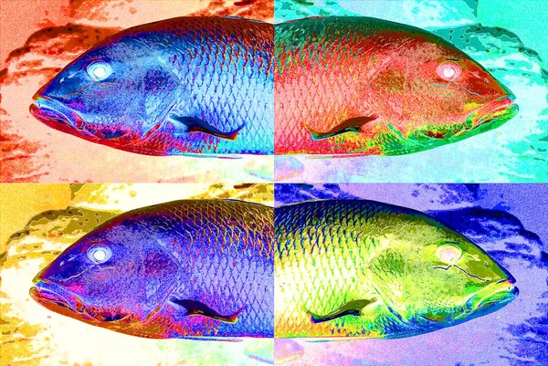 Fishes Sign Illustration Pop Art Background Icon Color Spots — Photo